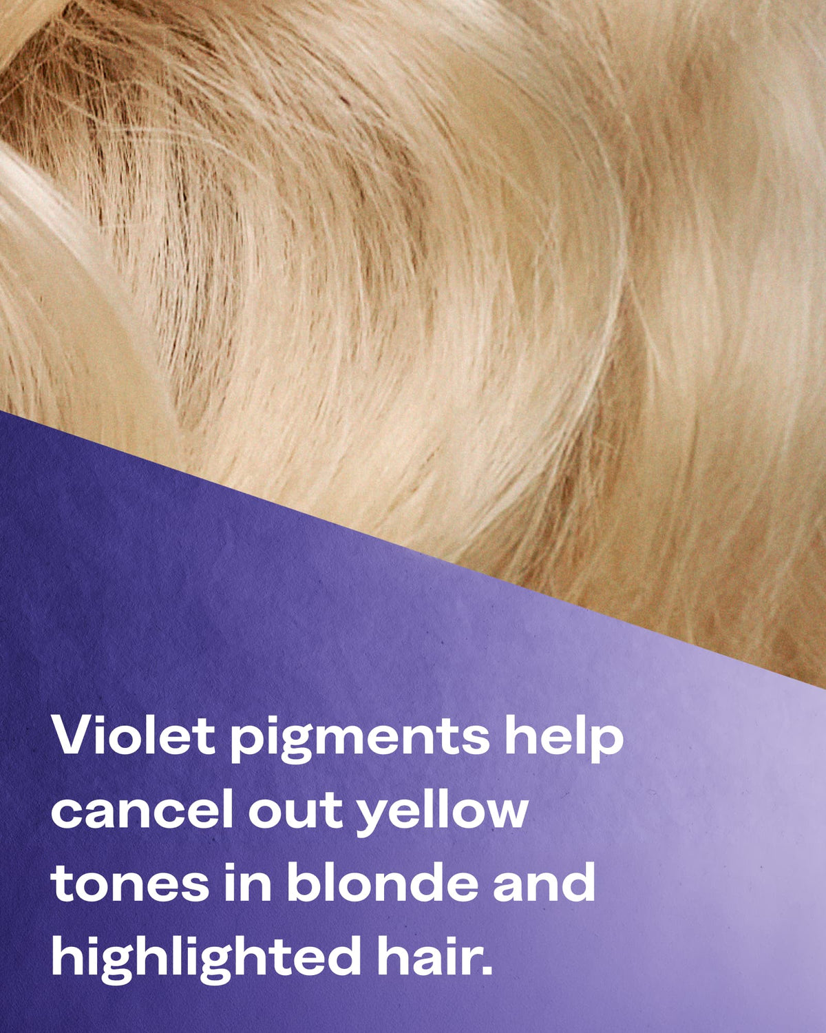 Close-up of blonde hair with a purple text panel overlay that reads: 'Violet pigments help cancel out yellow tones in blonde and highlighted hair.'.